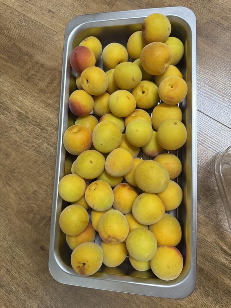 매실